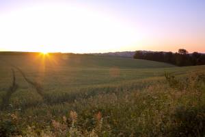 Delphine TRÉBOSC - CIEL BLEU
