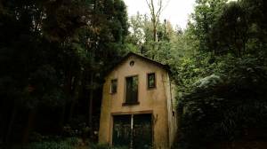 Noémy SMECICAS - SMECICAS NOEMY